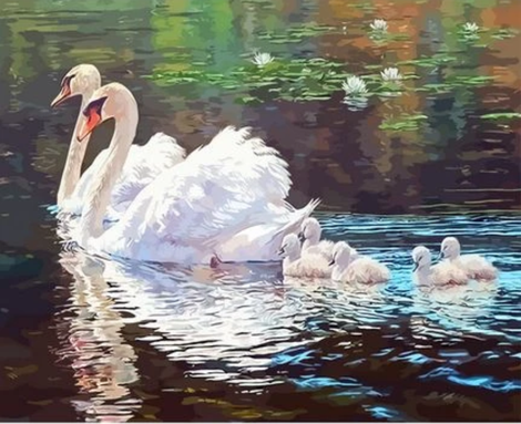 Animal Swan Diy Paint By Numbers Kits UK AN0729