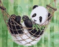 Panda Diy Paint By Numbers Kits UK AN0150