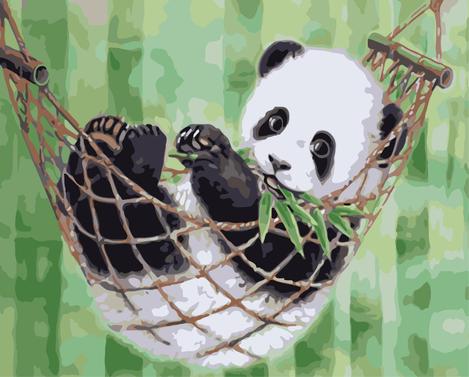 Panda Diy Paint By Numbers Kits UK AN0150