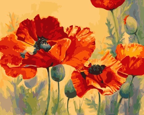 Poppy Flower Diy Paint By Numbers Kits UK PL0202