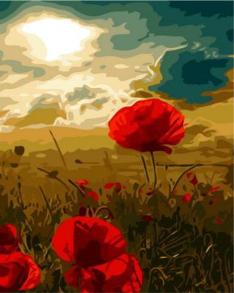 Poppy Flower Diy Paint By Numbers Kits UK PL0209