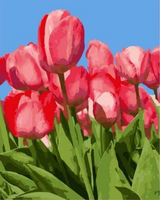 Tulips Diy Paint By Numbers Kits UK PL0236