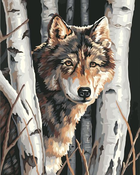 Wolf Diy Paint By Numbers Kits UK AN0041