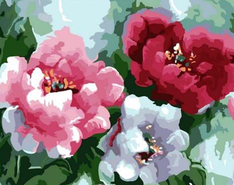 Flower Diy Paint By Numbers Kits UK PL0435