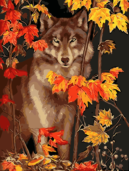Wolf Diy Paint By Numbers Kits UK AN0045