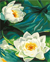 Lotus Diy Paint By Numbers Kits UK,PL0471