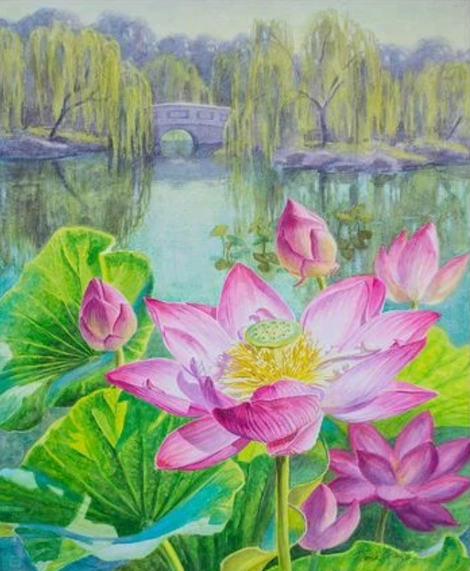 Lotus Diy Paint By Numbers Kits UK,PL0478