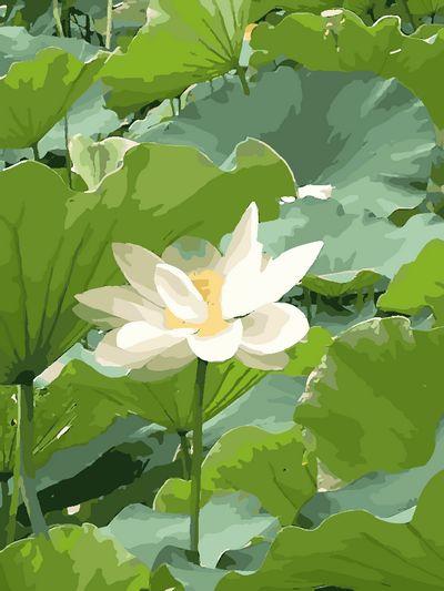Lotus Diy Paint By Numbers Kits UK PL0488