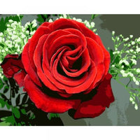 Rose Flowers Diy Paint By Numbers Kits UK PL0502