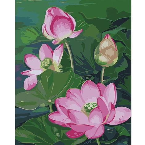 Lotus Diy Paint By Numbers Kits UK,PL0050