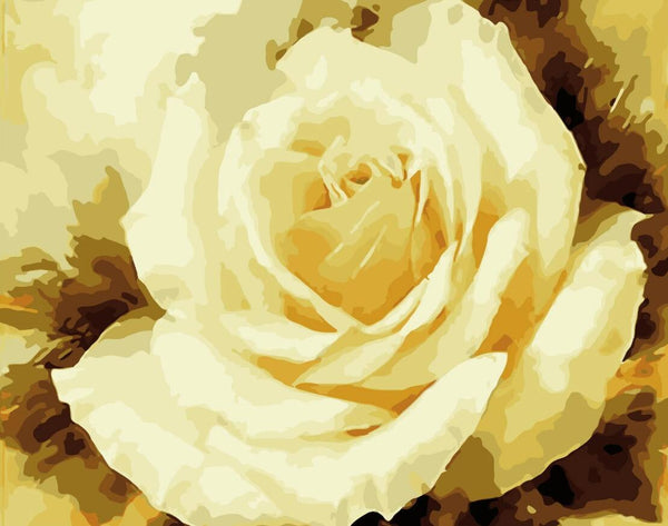 Rose Flowers Diy Paint By Numbers Kits UK PL0520