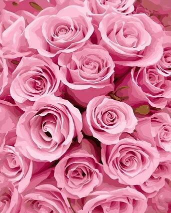 Rose Flowers Diy Paint By Numbers Kits UK PL0525