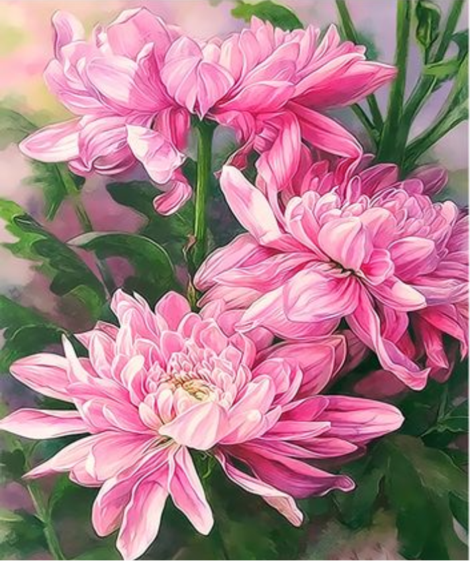 Flower Diy Paint By Numbers Kits UK PL0581