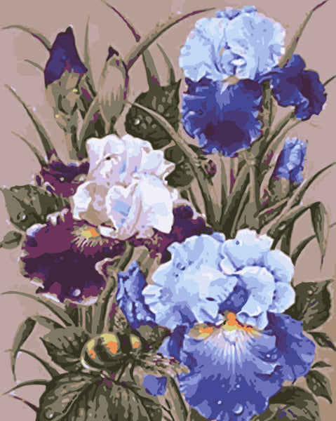 Flower Diy Paint By Numbers Kits UK PL0588