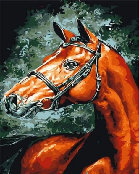 Animal Horse Diy Paint By Numbers Kits UK AN0256