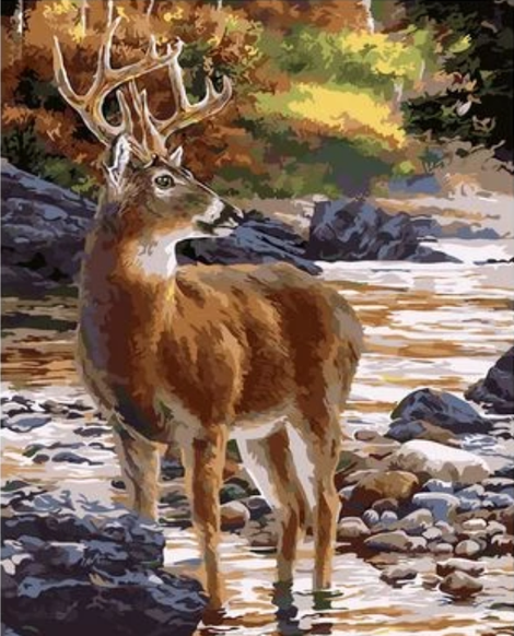 Animal Deer Diy Paint By Numbers Kits UK AN0651