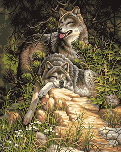 Animal Wolf Diy Paint By Numbers Kits UK AN0593