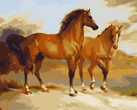 Animal Horse Diy Paint By Numbers Kits UK AN0333