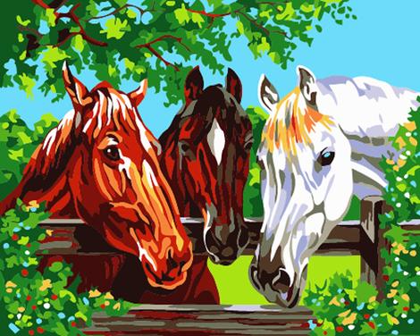 Animal Horse Diy Paint By Numbers Kits UK AN0332