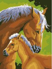 Animal Horse Diy Paint By Numbers Kits UK AN0329