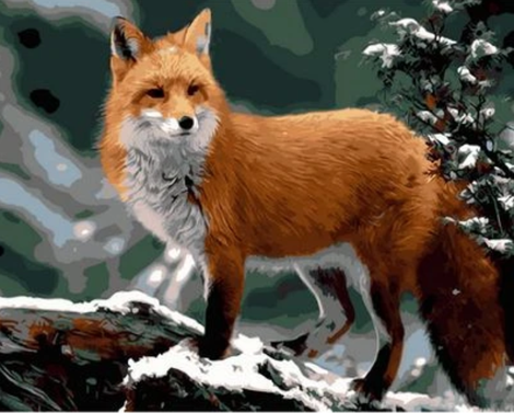 Animal Fox Diy Paint By Numbers Kits UK AN0693