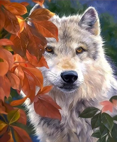 Animal Wolf Diy Paint By Numbers Kits UK AN0546