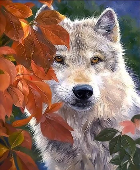 Animal Wolf Diy Paint By Numbers Kits UK AN0546