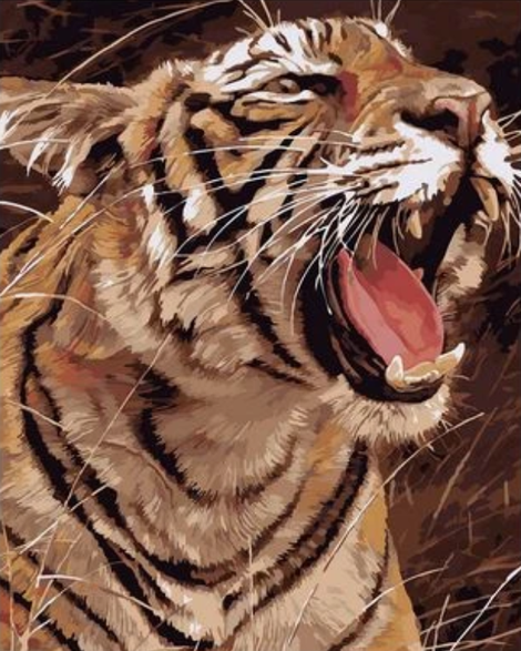 Animal Tiger Diy Paint By Numbers Kits UK AN0351
