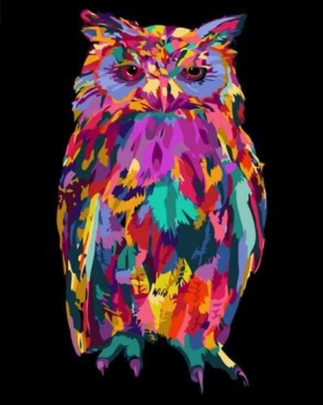Color Animal Owl Diy Paint By Numbers Kits UK FA0026