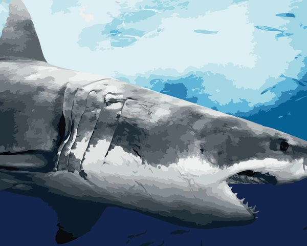 Shark Diy Paint By Numbers Kits Diy UK MA096