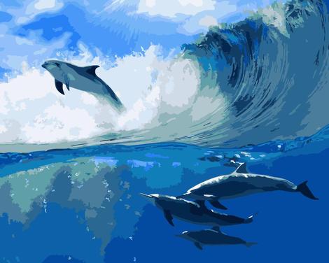 Dolphin Diy Paint By Numbers Kits MA205