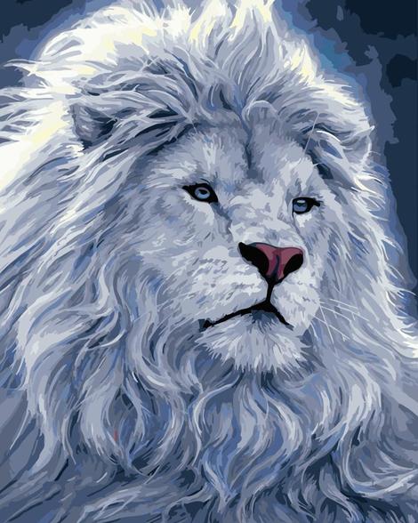 Lion Diy Paint By Numbers Kits UK AN0429