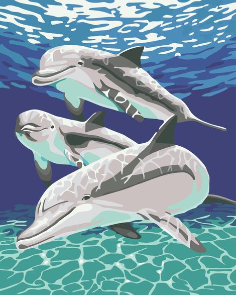 Dream Dolphin Diy Paint By Numbers Kits MA193