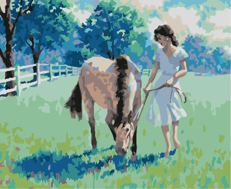 Beauty And Horse Diy Paint By Numbers Kits UK AN0338