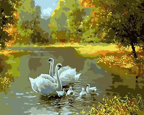 Swan Diy Paint By Numbers Kits UK AN0748