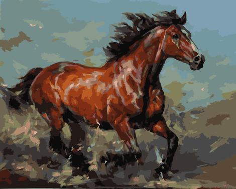 Horse Diy Paint By Numbers Kits UK AN0318