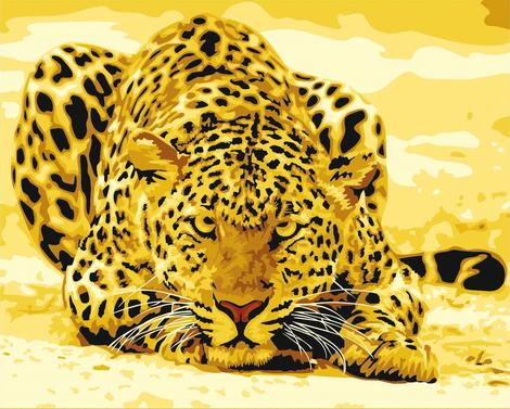 Leopard Diy Paint By Numbers Kits UK AN0840
