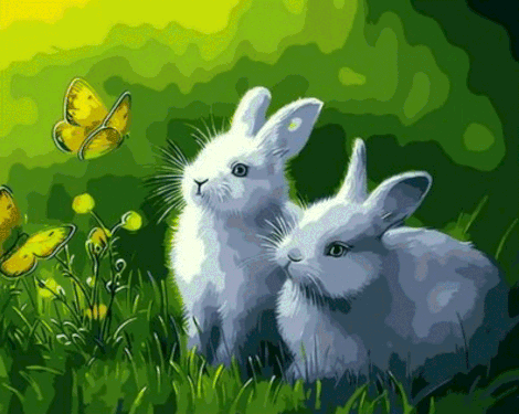 Animal Rabbit Diy Paint By Numbers Kits UK FA0159
