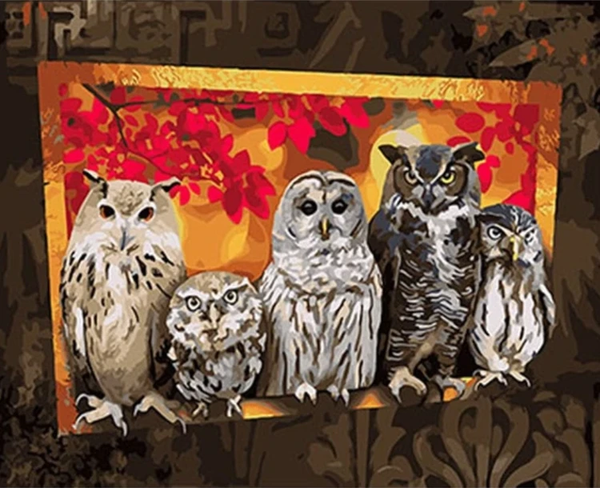 Owl Diy Paint By Numbers Kits UK VM97283