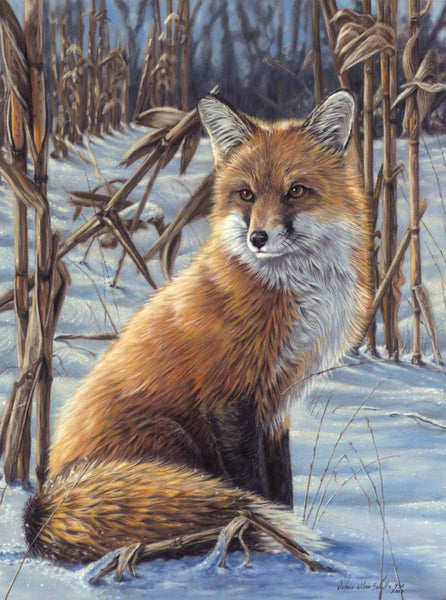 Animal Little Fox Diy Paint By Numbers Kits UK AN0139