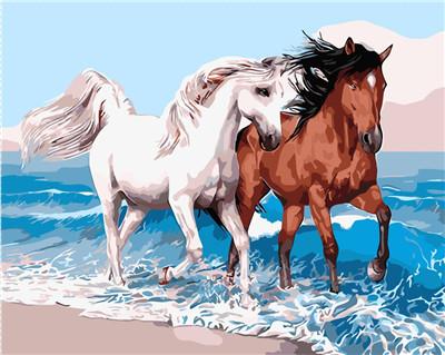 Horse Diy Paint By Numbers Kits UK AN0324