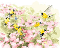 Bird In Flower Diy Paint By Numbers Kits UK FA0098