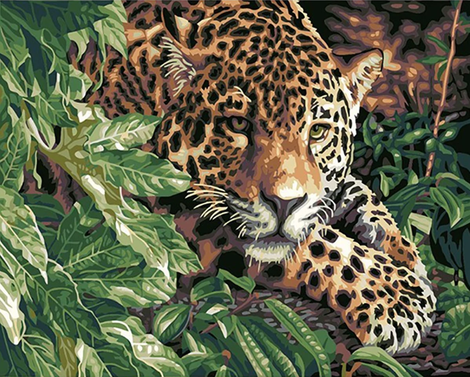 Leopard Diy Paint By Numbers Kits UK AN0815