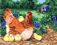 Farm Animal Cocks Diy Paint By Numbers Kits UK FA0133