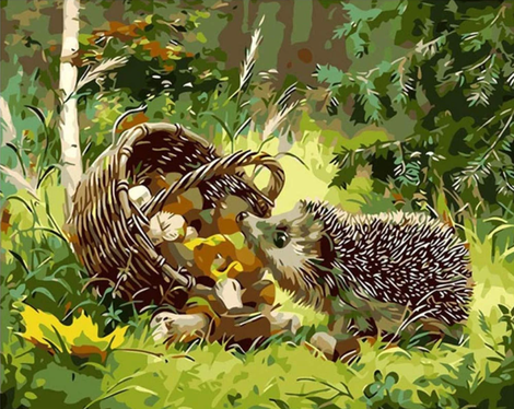 Hedgehog Paint By Numbers Kits UK AN0878