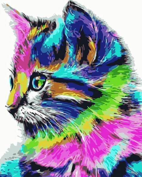 Cat Diy Paint By Numbers Kits UK PE0004
