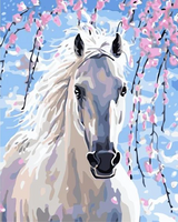 Horse Diy Paint By Numbers Kits UK AN0050