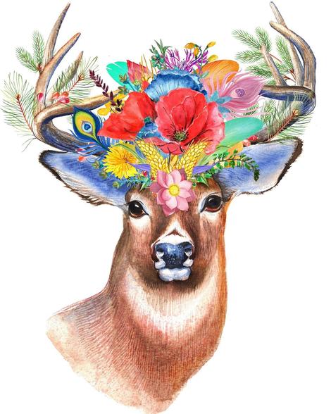 Deer Diy Paint By Numbers Kits UK AN0112