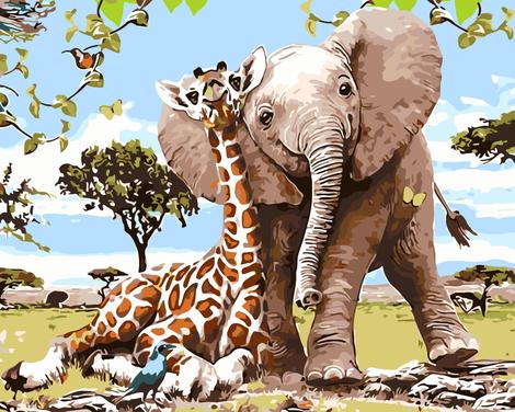 Elephant Diy Paint By Numbers Kits UK AN0114