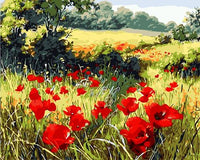 Poppy Flower Diy Paint By Numbers Kits UK PL0116